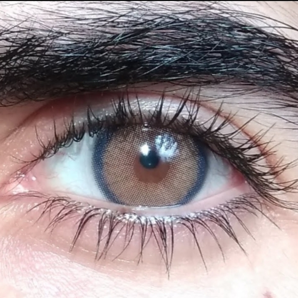 Fresh Lady Neala Brown Lenses